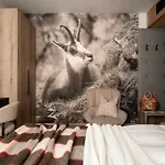 Hotel Stefanova &