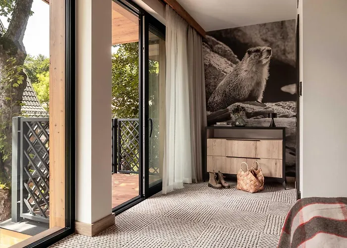 Stefanova & * ザコパネ