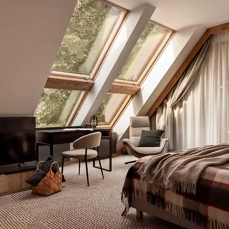 Stefanova & * ザコパネ