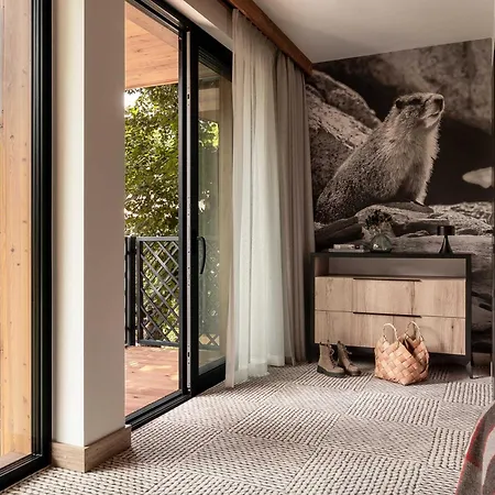 Stefanova & * زاكوباني